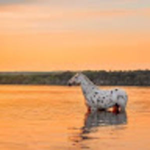 Meet your Posher, Nevaeh